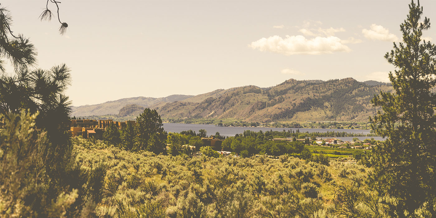 Announcement: Green Mountain Assigned Health Canada Reviewer