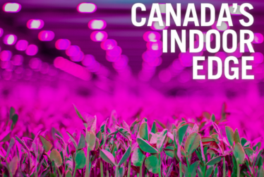 Root-zone chemistry and irrigation strategy
