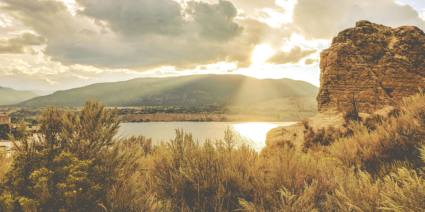 World Renowned Doctor, Published Author, and Educator Joins Cannabis Company: Green Mountain Health Alliance