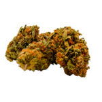 Gorilla Zkittlez